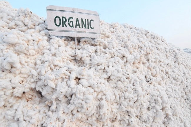 Why Is Organic Cotton Expensive?